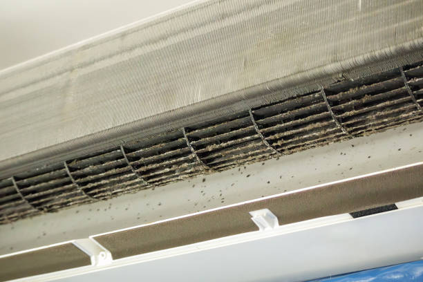 Best Affordable Duct Cleaning Services  in Kersey, CO
